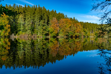 Herbstlicher Nadelwald spiegelt sich im Wasser eines Sees