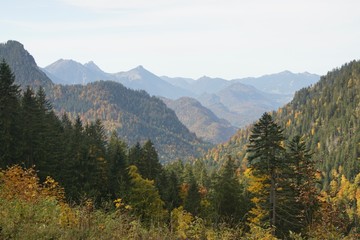 Aussicht auf die Allgäuer Alpen im Herbst bei blauem Himmel