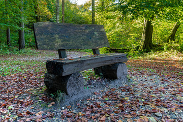 Eine rustikale Holzbank im herbstlichen Wald