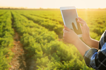 Female farmer with tablet computer working in field