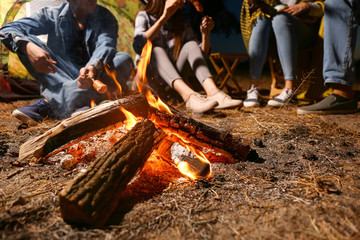 Young people sitting near campfire in forest