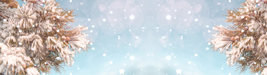 Schneeflocken gerfrorene Nadelbäume - Hintergrund blauer Himmel Panorama Banner lang