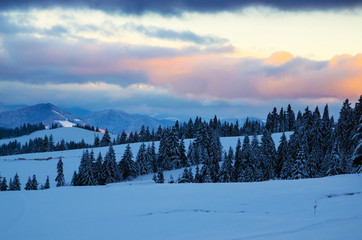 Fototapeta na wymiar Beautiful winter landscape with snow on the trees
