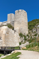 Fototapeta na wymiar Ruins of Golubac Fortress at the Danube River, Serbia