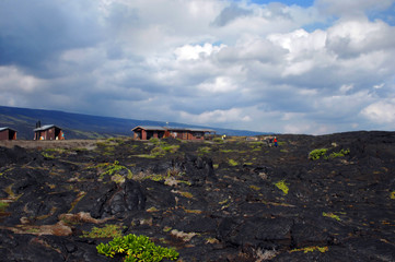 Exploring a lava field on Big Island