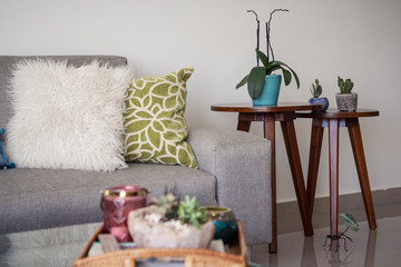 Mesitas laterales con cactus y orquídea en una sala con sofá y cojines