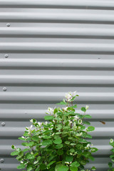 Metallic trailer wall