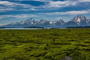 Grand Tetons and the Willow Flats, Grand Teton National Park, Wyoming