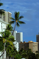 Fototapeta na wymiar Apartment and Housing Opportunities in Honolulu