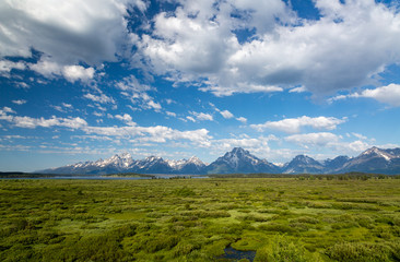 Puffy Clouds over the Grand Tetons and the Willow Flats, Grand Teton National Park, Wyoming