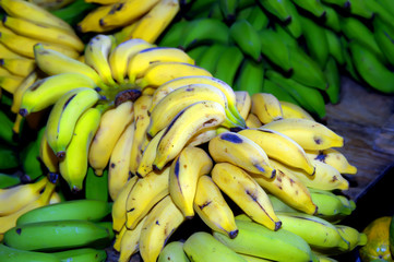 Banana Bunches Fresh at Hilo Market