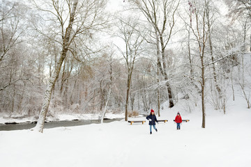 Two adorable young girls having fun together in beautiful winter park. Cute sisters playing in a snow. Winter family activities for kids.