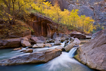 Virgin River in autumn, Zion National Park, Utah