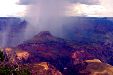 Rain in the grand canyon