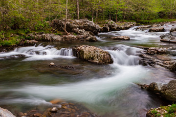 Mountain stream flows through the forest in Great Smoky Mountains National Park, Tennessee