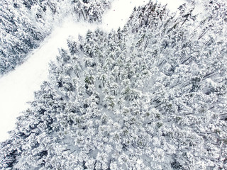 Beautiful aerial view of snow covered pine forests. Rime ice and hoar frost covering trees. Scenic winter landscape in Vilnius, Lithuania.