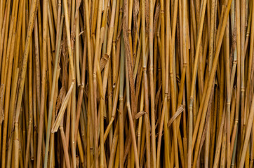 Dry straw texture background, style for design.Reeds texture. Straw surface.