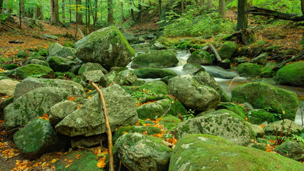mountain stream full of stones