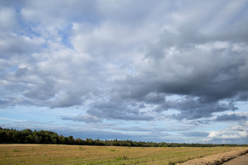 Fototapeta na wymiar Meadow and a plane in blue sky