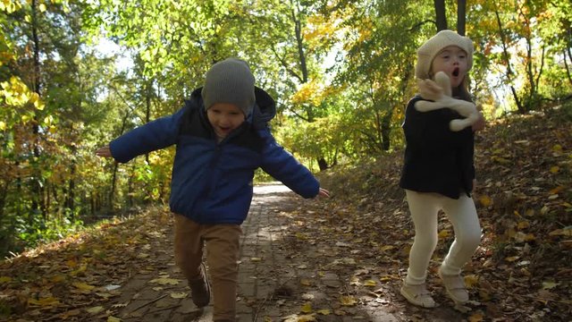 Joyful toddler boy and his older sister with down syndrome holding arms like flying while running through autumn park on sunny day. Happy little children enjoying play during family leisure in nature