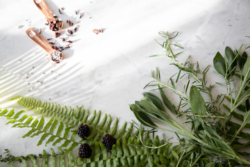 Greenery herbs on marble background 