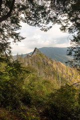 Fototapeta premium The Chimney top. Great Smoky Mountains