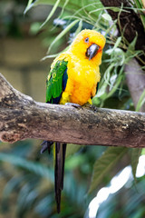 What you looking at?