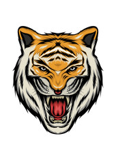 The Tiger head illustration on the white background