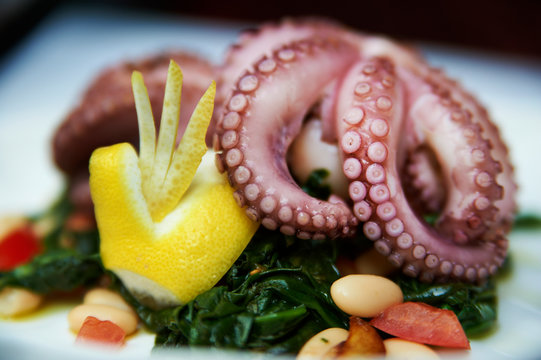 grilled octopus