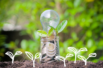 Growing sectors in the course of continuous improvement.