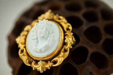 brooch on a brown textured prop