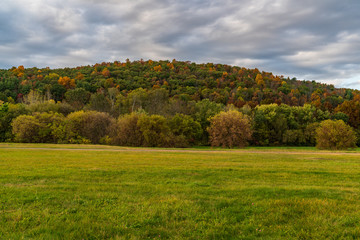 Fototapeta premium autumn landscape with trees and blue sky