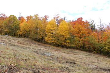 Fototapeta premium Beautiful and colorful Autumn landscape all over the mountain