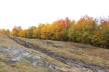 Naklejka premium Beautiful and colorful Autumn landscape all over the mountain