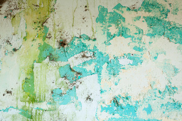 Wall with old blue paint and green mold