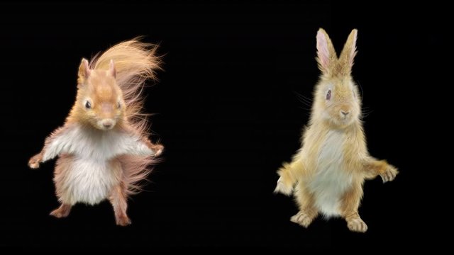 squirrel rabbit Dance CG fur 3d rendering animal realistic CGI VFX Animation Loop composition 3d mapping cartoon, (with Alpha Channel) 