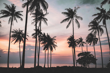 Obraz premium Black Palms silhouettes at orange sunset sky
