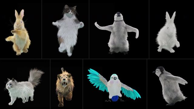 rabbit cat penguin penguins lion bird Zoo CG fur 3d rendering animal realistic CGI VFX Animation Loop Crowd dance composition 3d mapping cartoon Motion Background, (with Alpha Channel)
