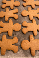 Gingerbread man cookies right out of the oven, freshly made at home, without decoration. Great for cooking with the kids as a family near the Christmas and winter holidays.