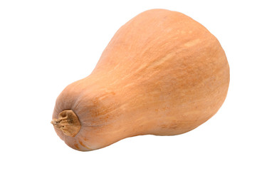 Orange, ripe pumpkin on a white background