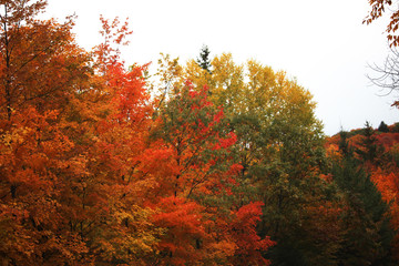 Beautiful and colorful Autumn landscape all over the mountain