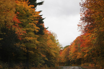 Obraz premium Beautiful and colorful Autumn landscape all over the mountain