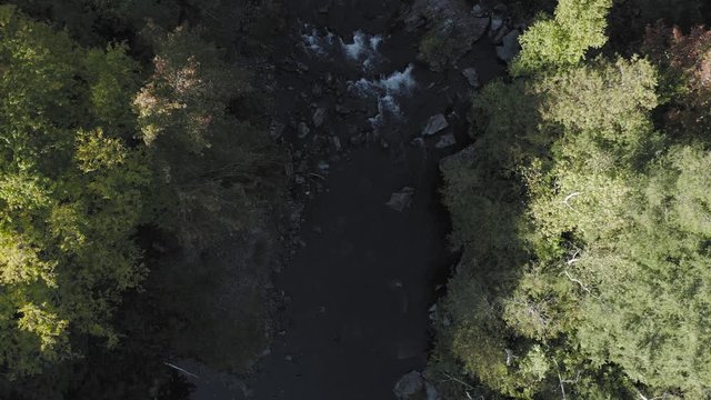 Top down aerial descending over river Fall Foliage 4K