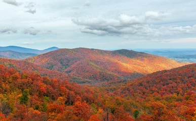 Fleecedeken met foto Kleurrijke herfst weergave van Blue Ridge bergruggen van Skyline Drive in Shenandoah National Park.Virginia.USA © Vadim