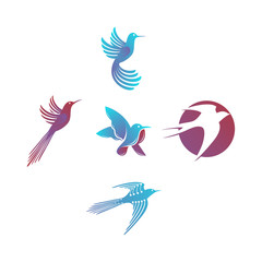 Fototapeta premium Bird logo design templates vector Set
