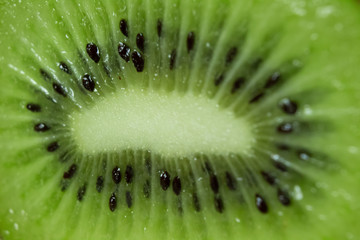 Macro closeup of juicy kiwi fruit 