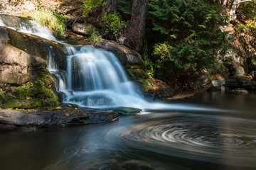 small waterfall inside forest in the park with leaves on the surface moving in circle pushed by the flowing steam