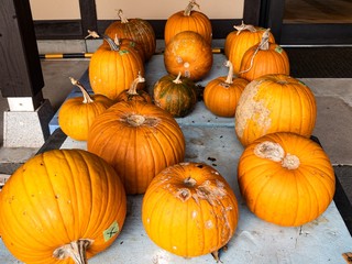 pumpkins for sale at farmers market