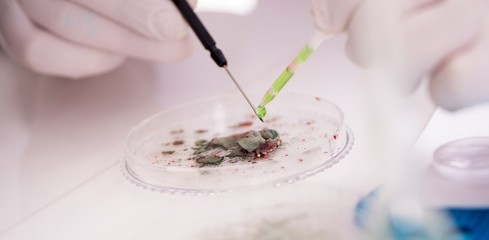 Male doctor working in the lab on virus vaccine