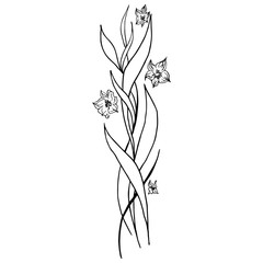 Engraved hand drawn abstract orchid. Retro flowers hand outline orchid, great design for any purposes. Outline vector. Nature background. Tropical plant. Floral design. Abstract art background